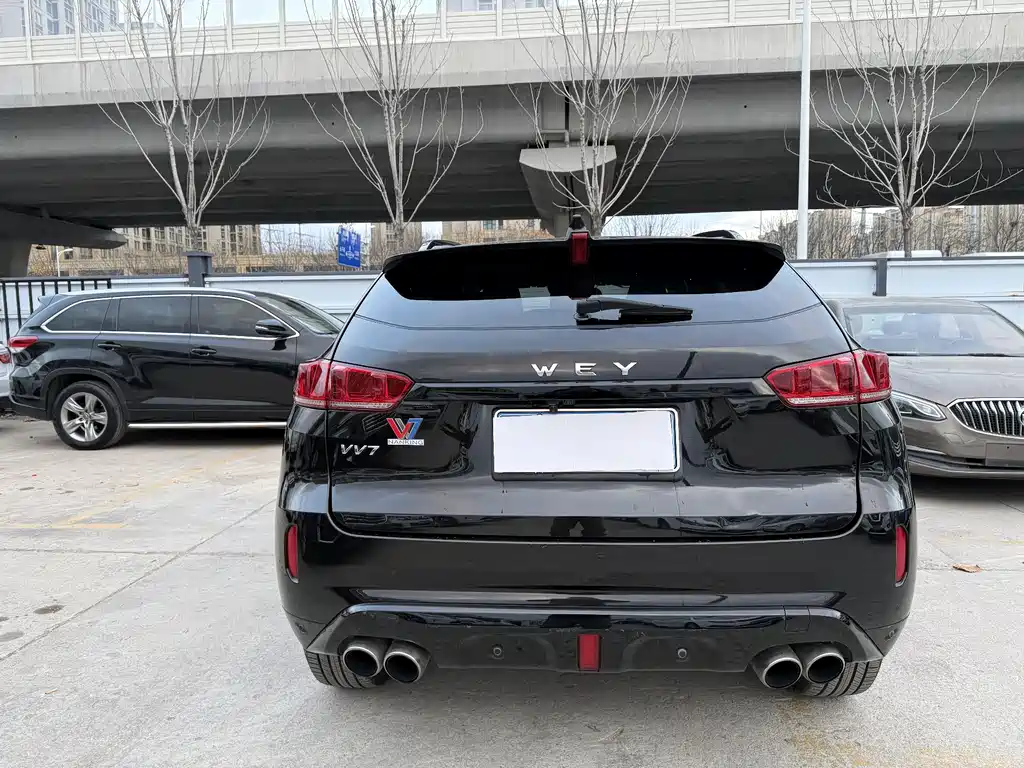 WEI PAI WEI BRAND VV7