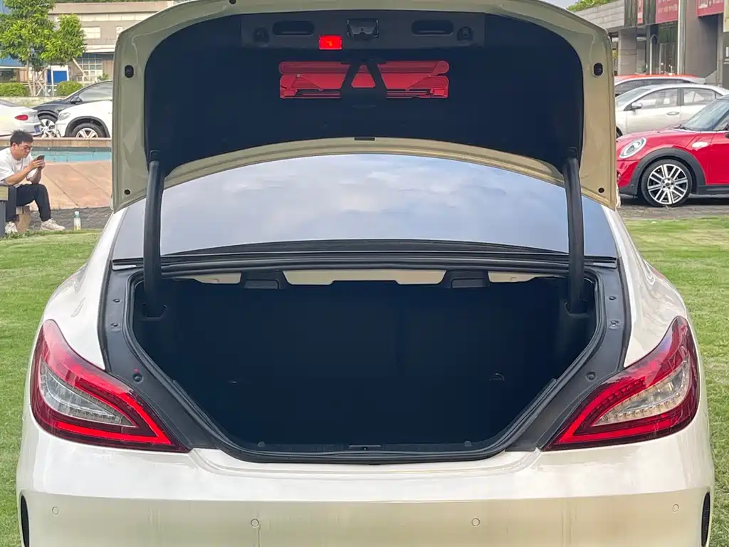 Mercedes-Benz CLS — миниатюра 13