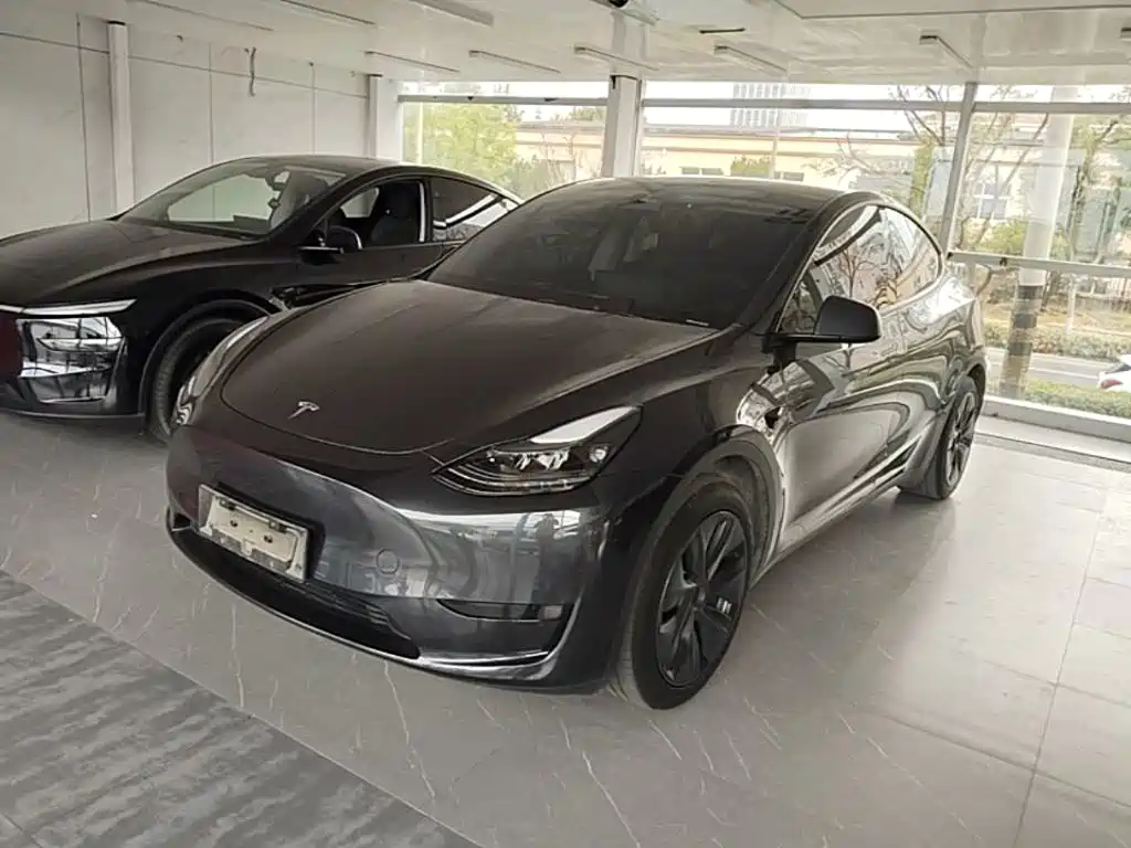 Tesla Model Y — миниатюра 2