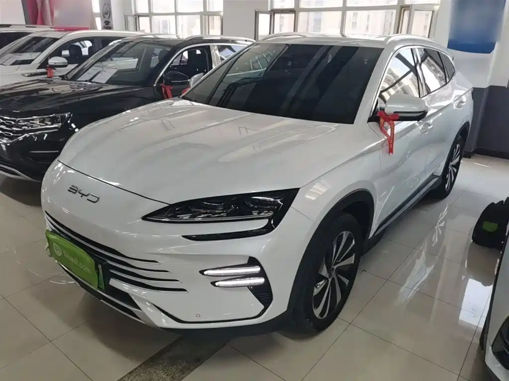 Byd PLUS New Energy 2024