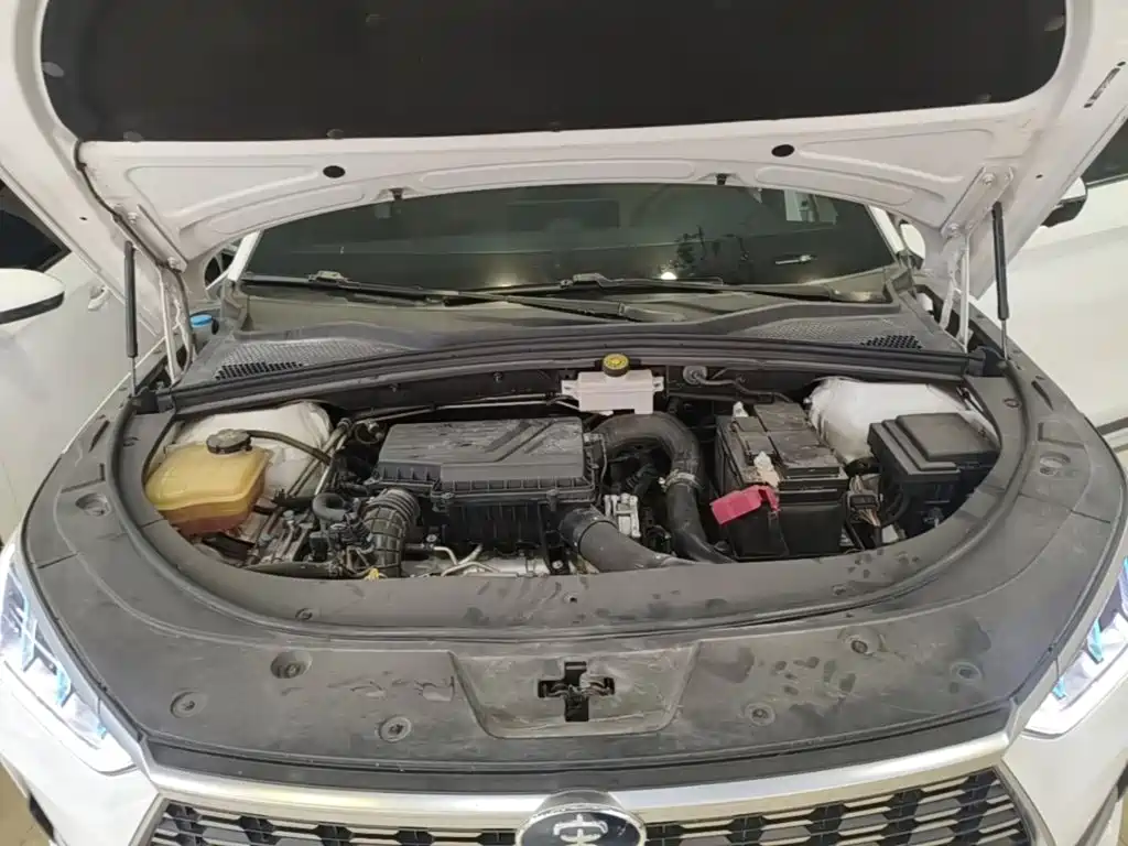 BYD PLUS — миниатюра 20