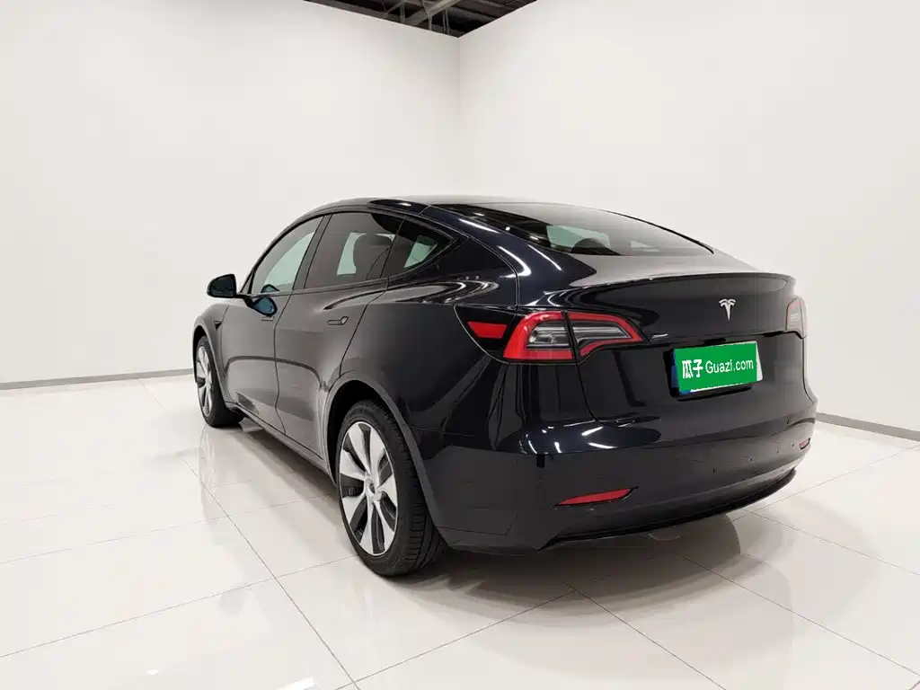 Tesla Model Y — миниатюра 4