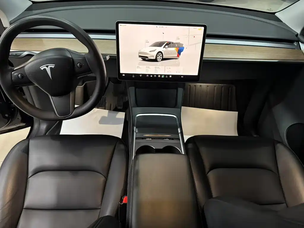 Tesla Model Y — миниатюра 4