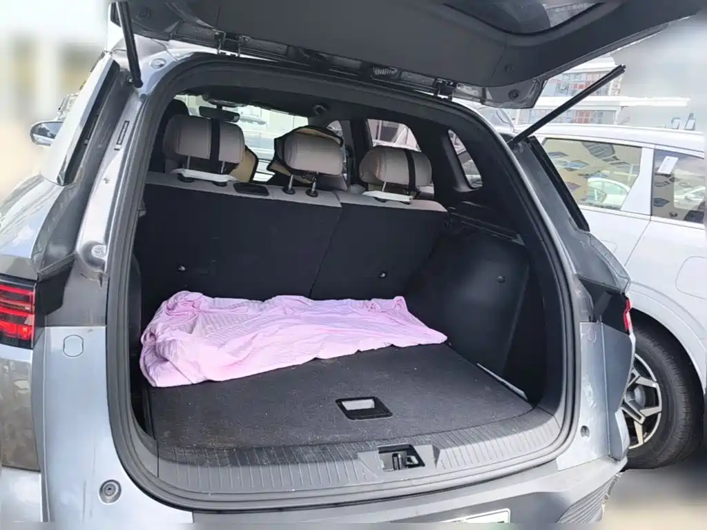 BYD Pro New Energy — миниатюра 24
