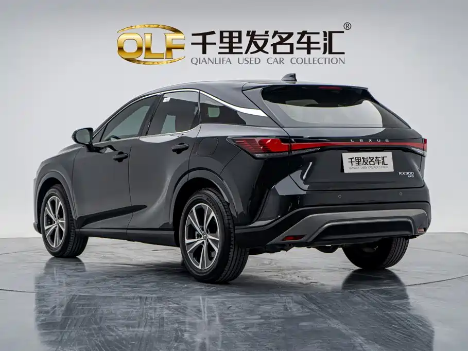 Lexus RX — миниатюра 8
