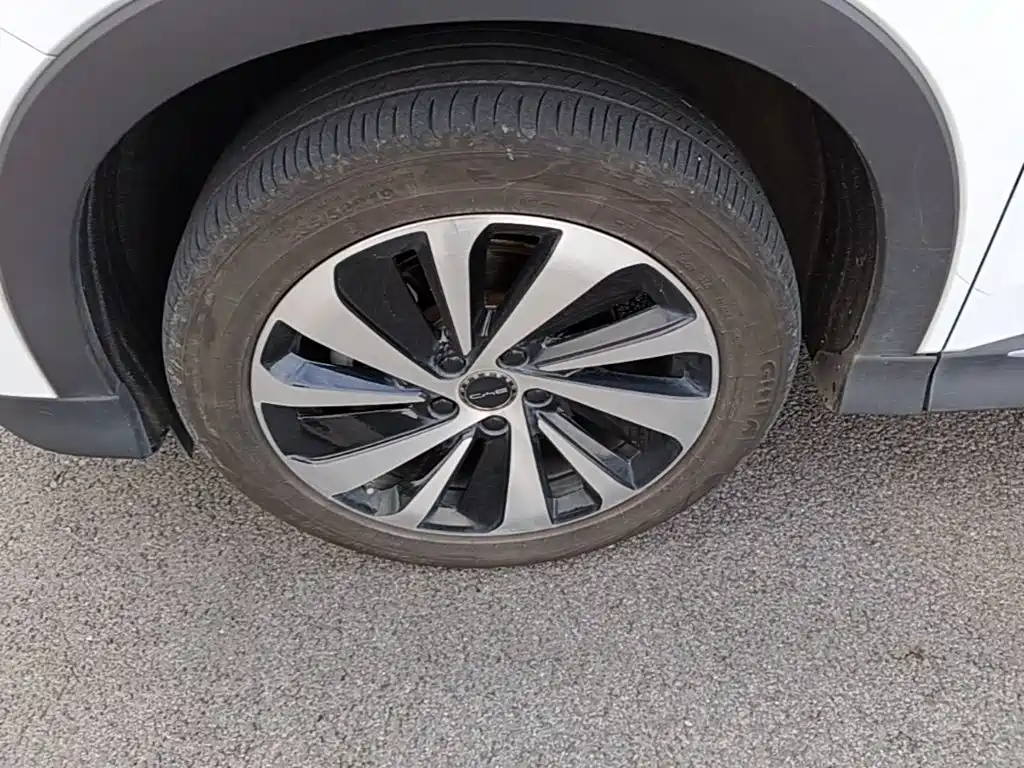 BYD PLUS New Energy — миниатюра 23