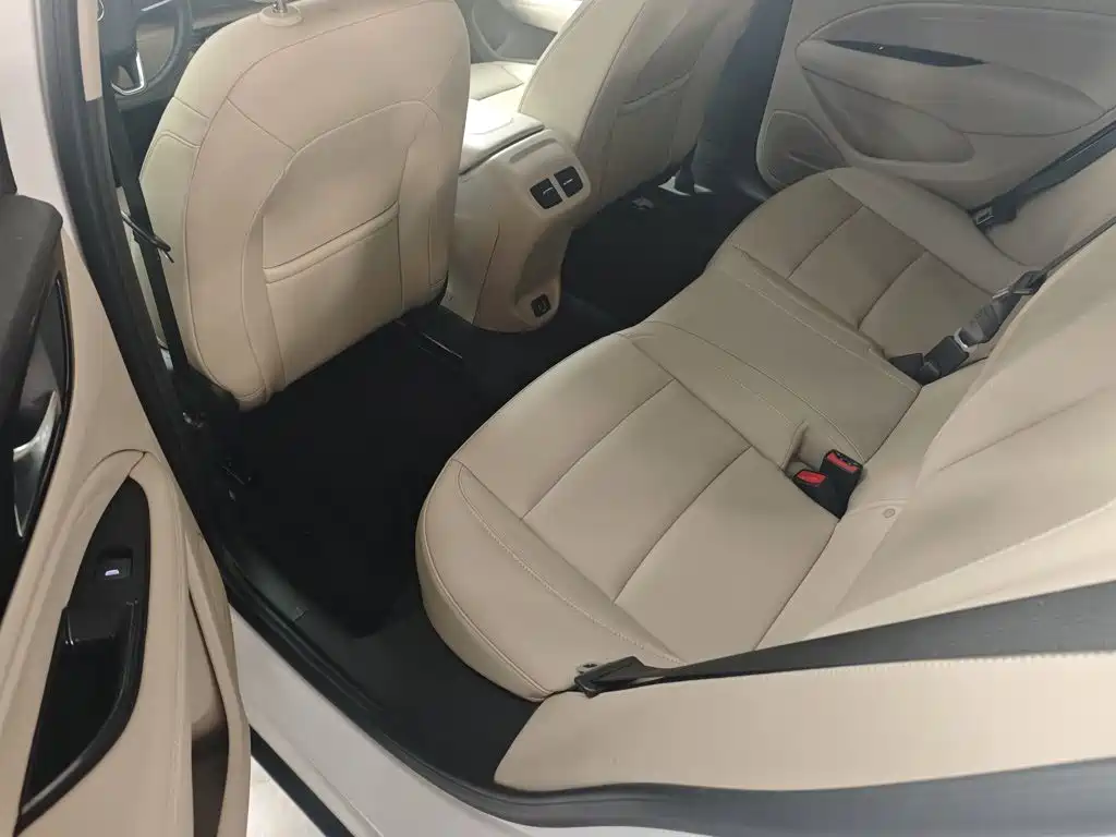 Buick Regal — миниатюра 12