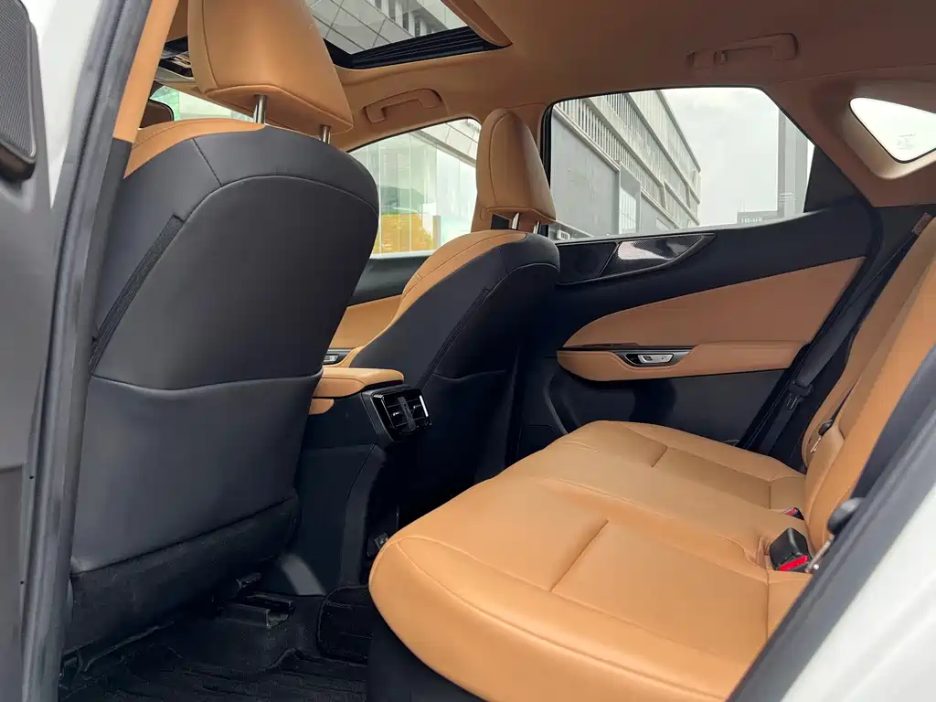 Lexus NX New Energy — миниатюра 6