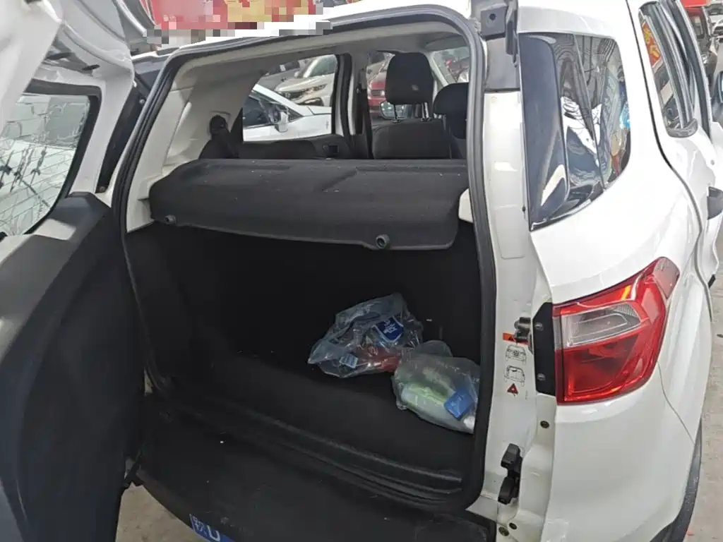Ford Ecosport — миниатюра 19