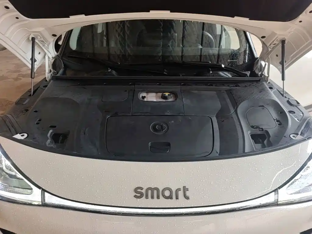 smart Smart #1 — миниатюра 20