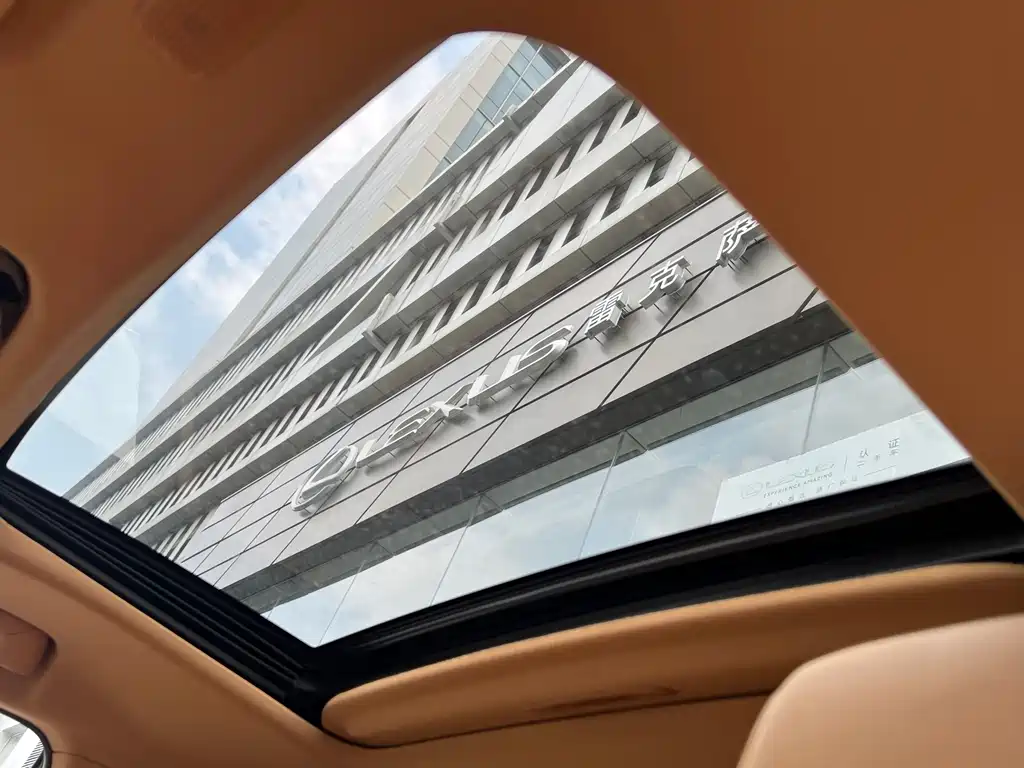 Lexus NX New Energy — миниатюра 11
