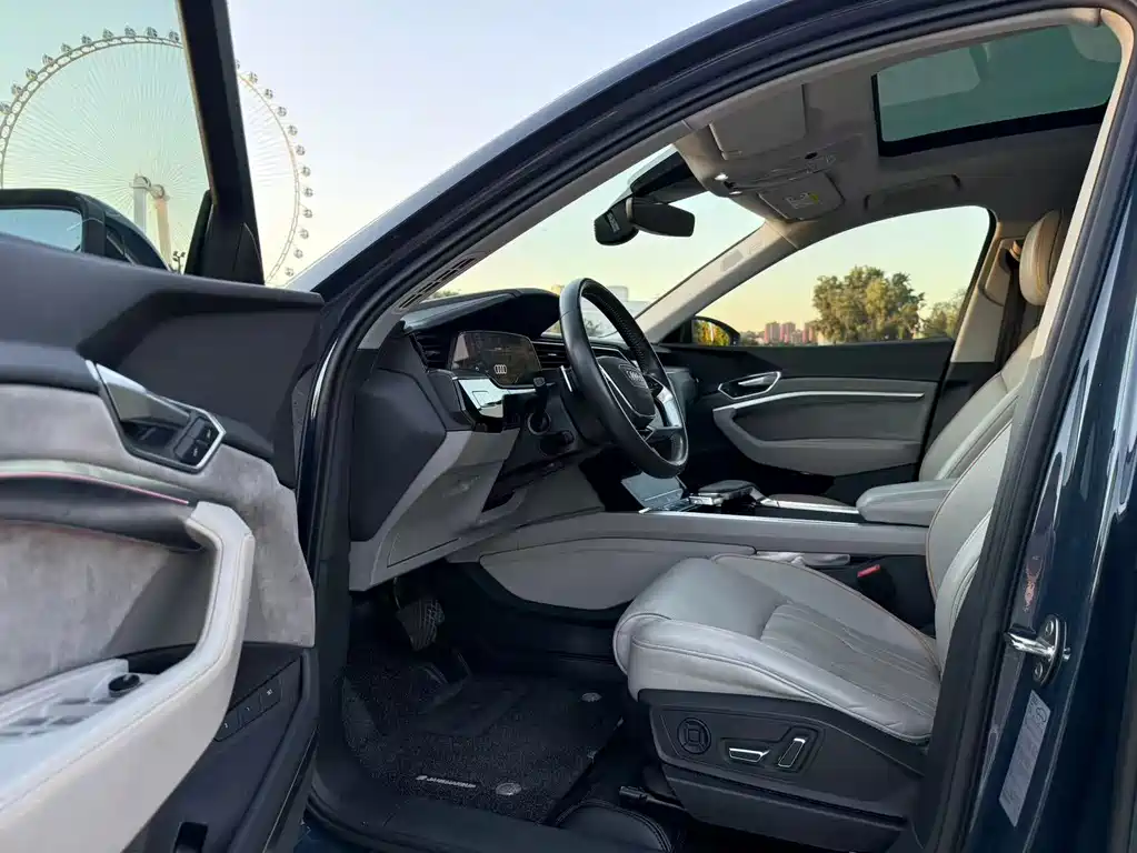 Audi e-tron (Import) — миниатюра 9