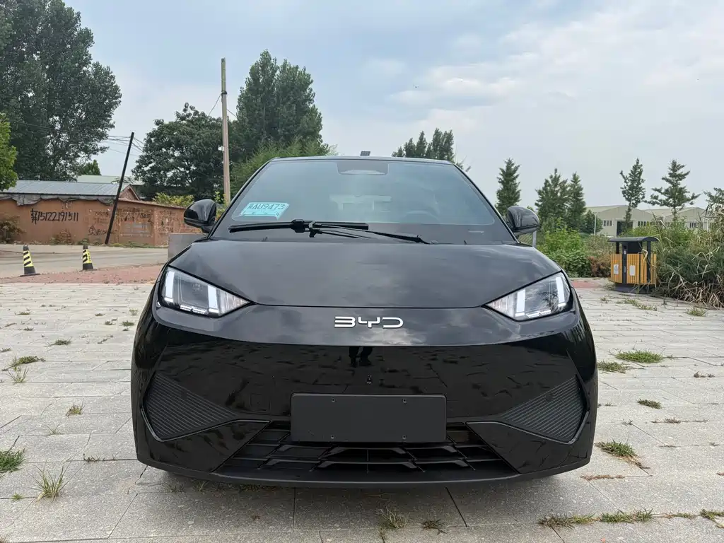 BYD Seagull 2025 Smart Drive 305km Freedom