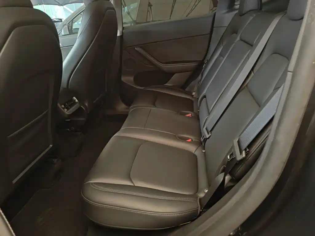 Tesla Model Y — миниатюра 17