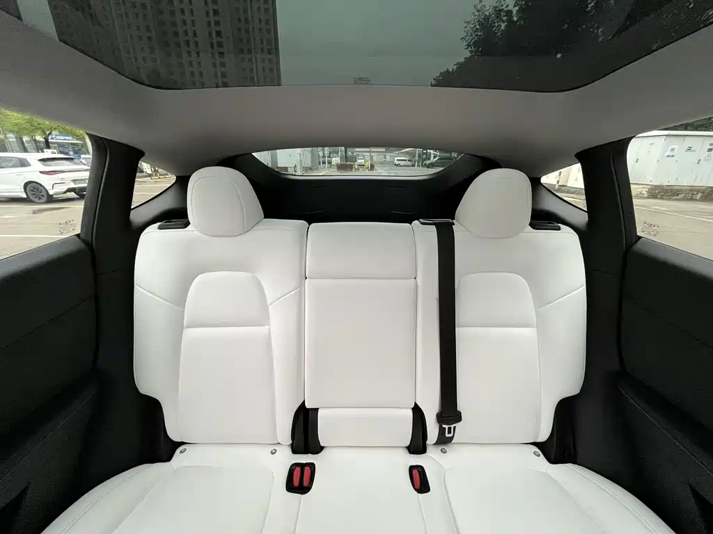 Tesla Model Y — миниатюра 12