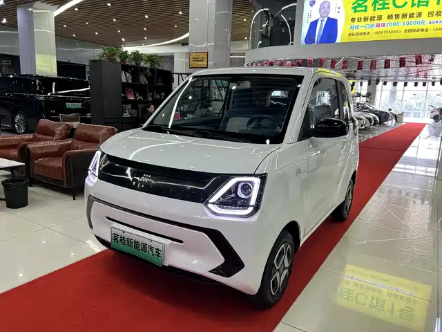 DONGFENG SCENERY MINIEV 2024