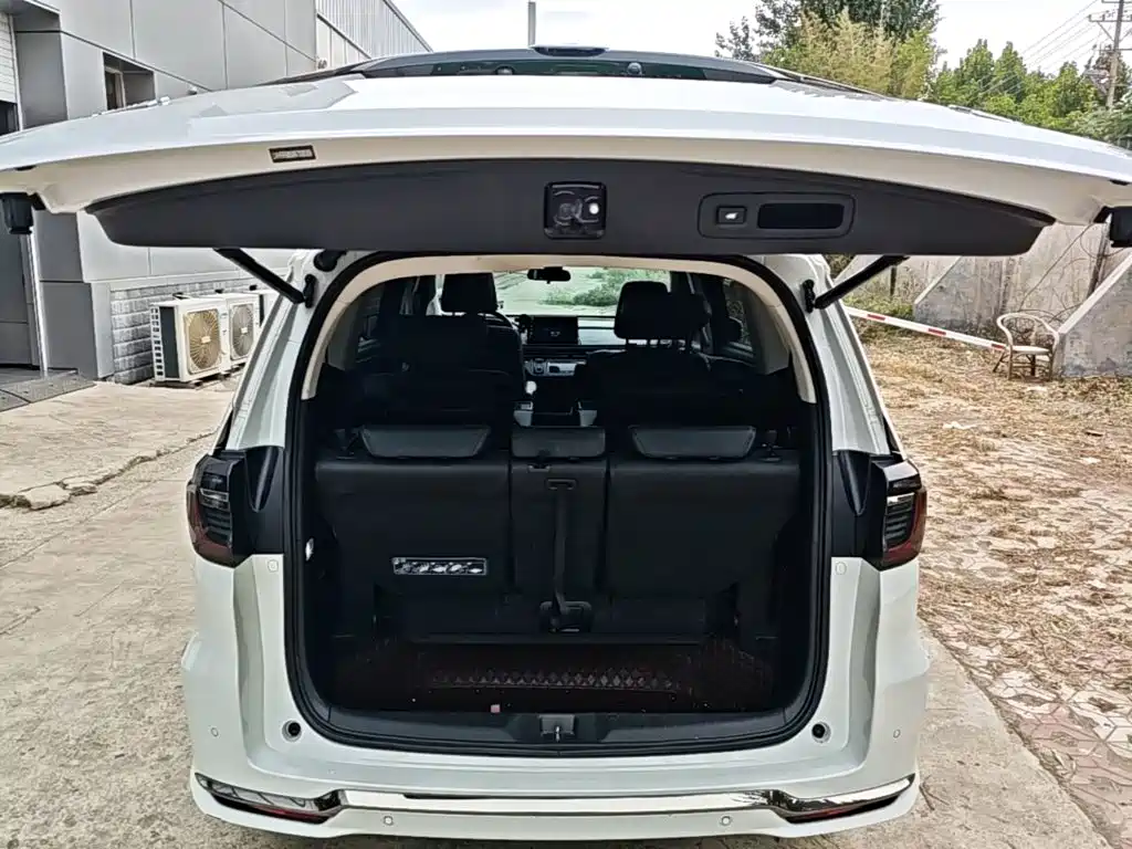 Honda Elysion — миниатюра 19