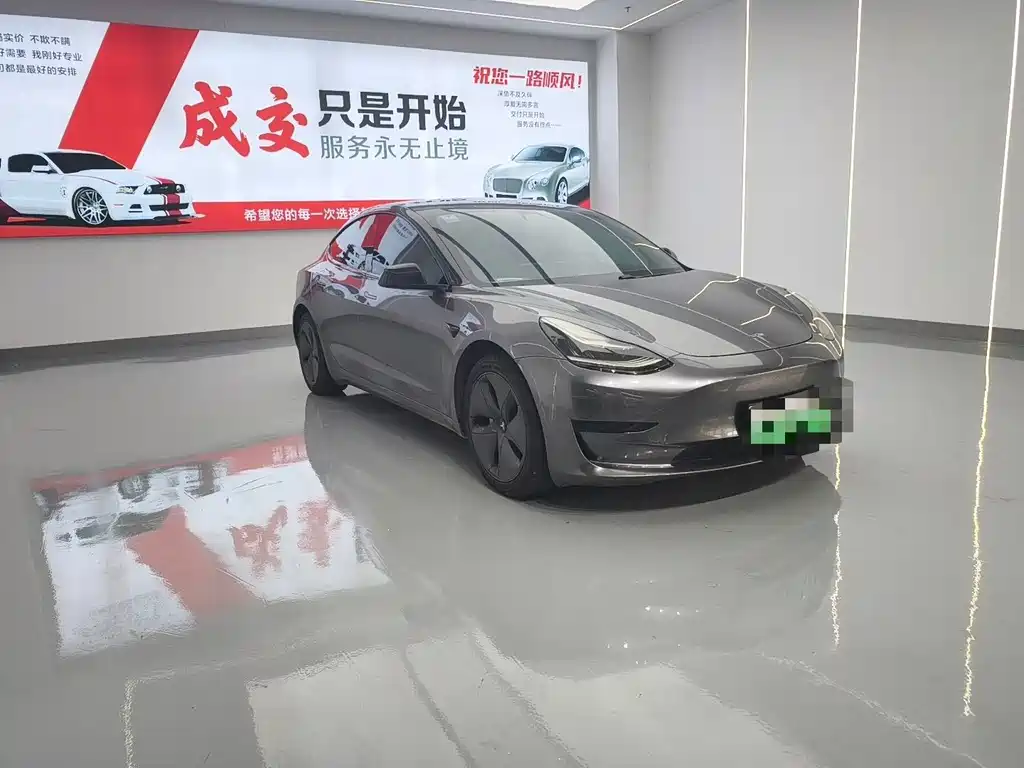 Tesla Model 3 — миниатюра 3