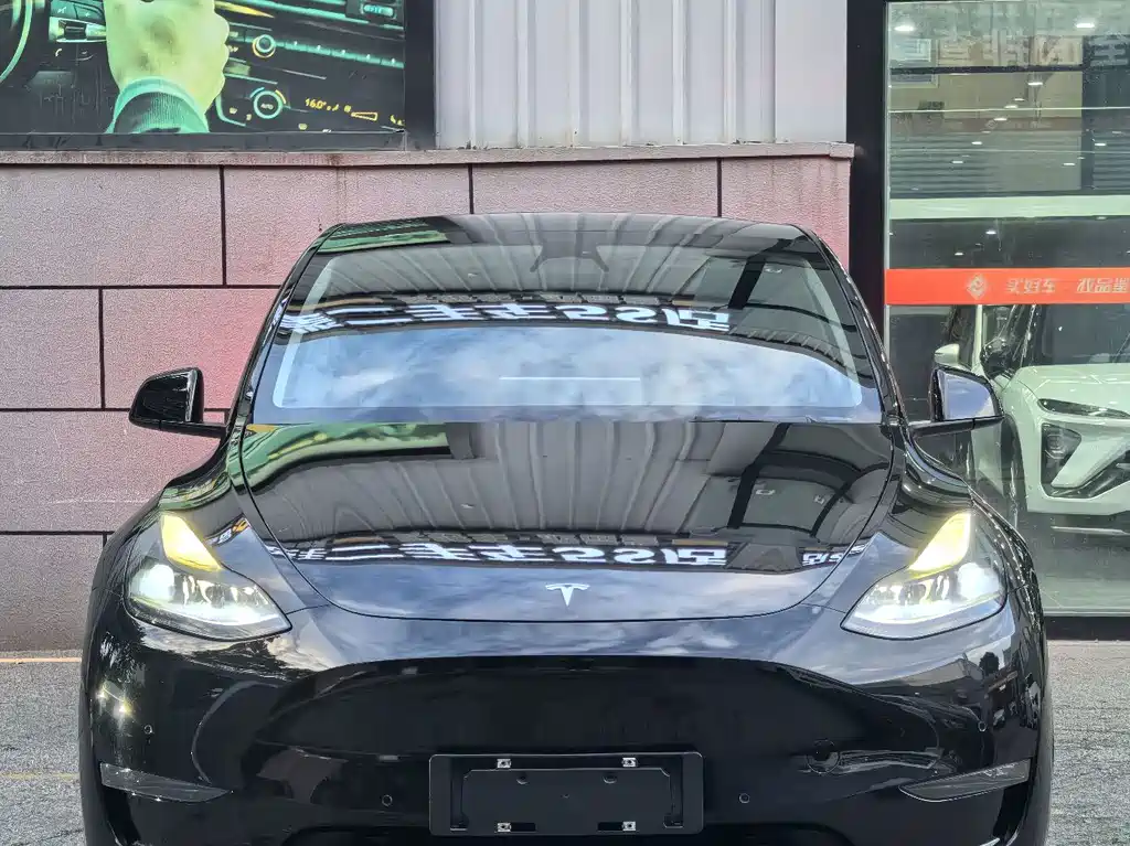 Tesla Model Y — миниатюра 6