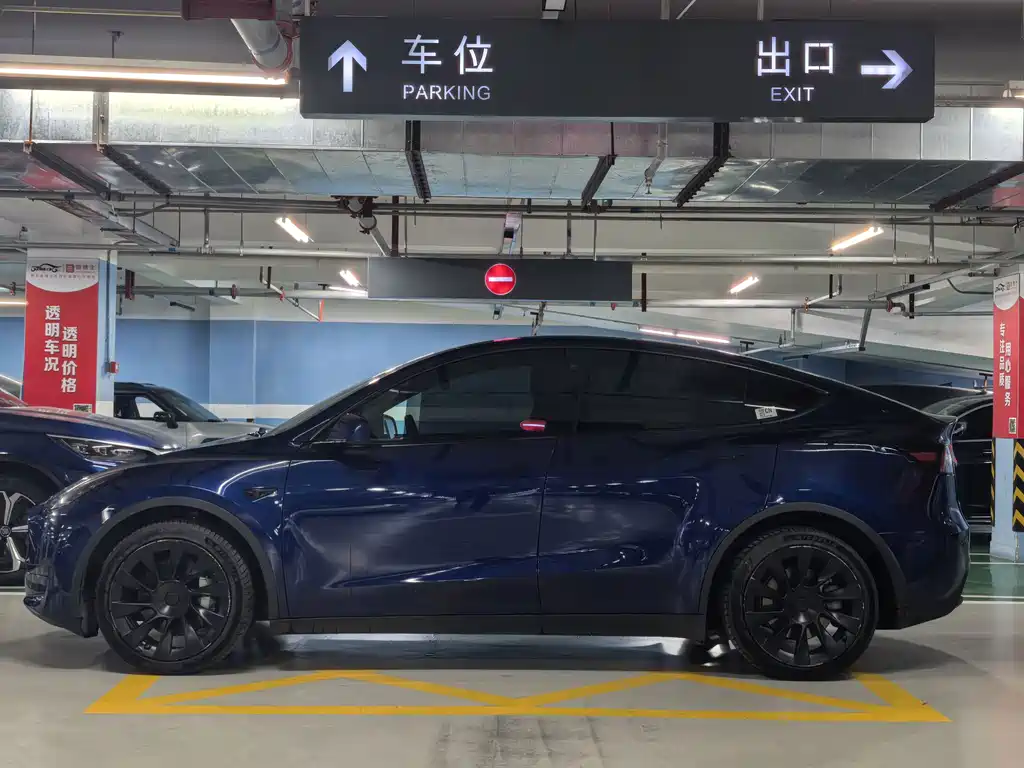 Tesla Model Y — миниатюра 7