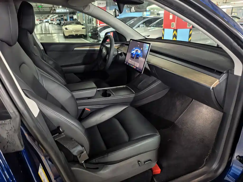 Tesla Model Y — миниатюра 10
