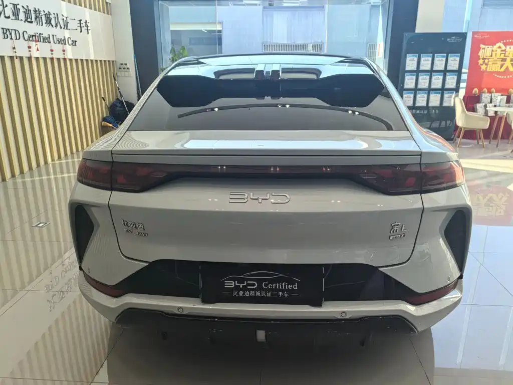 BYD L EV — миниатюра 5