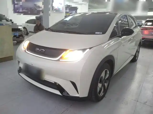 BYD DOLPHIN 2024