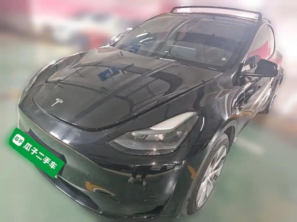 Tesla Model Y — миниатюра 2