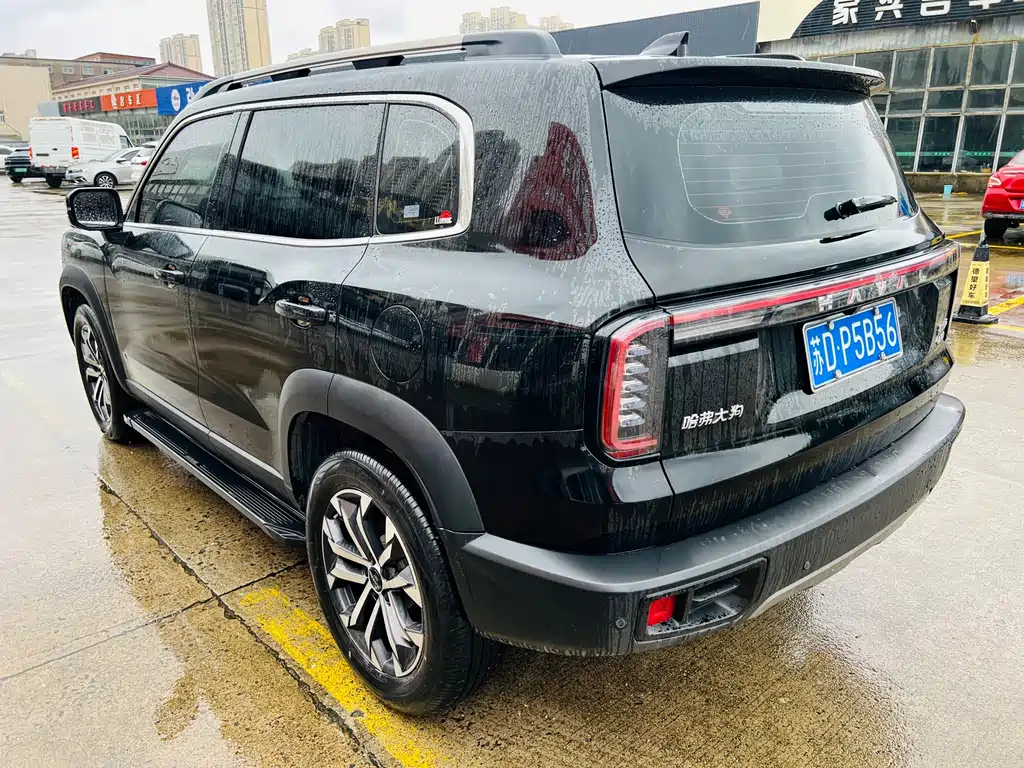 Haval 长城大狗 — миниатюра 13