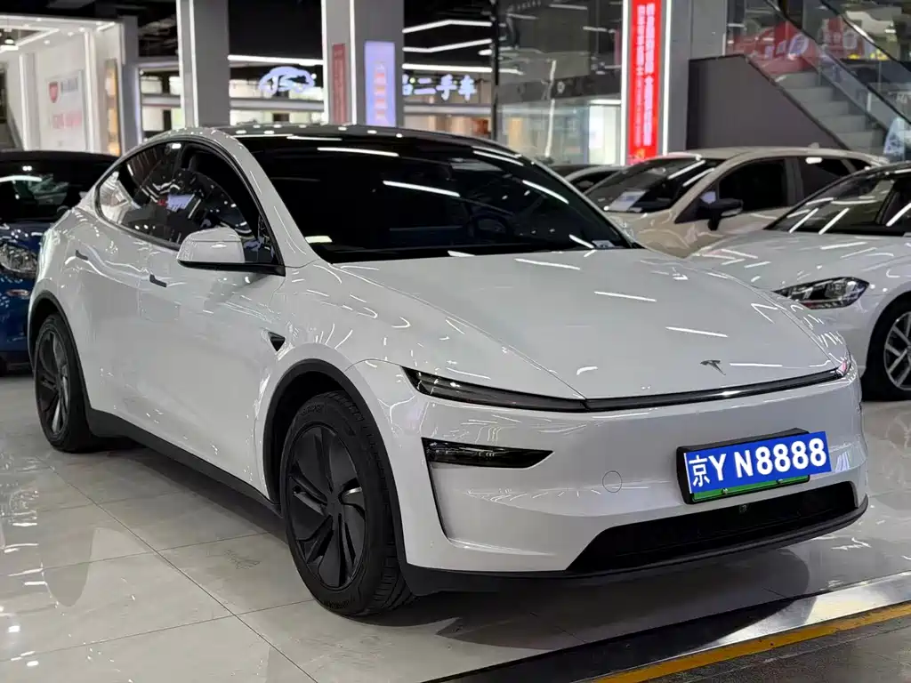 Tesla Model Y — миниатюра 3