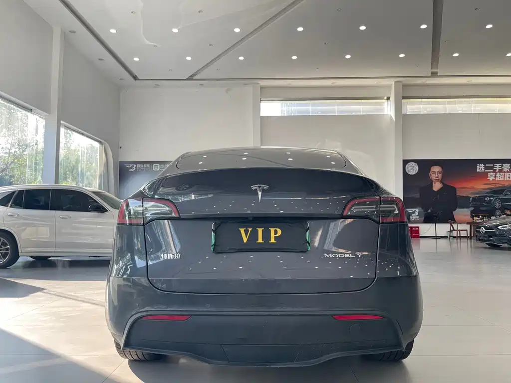 Tesla Model Y — миниатюра 5