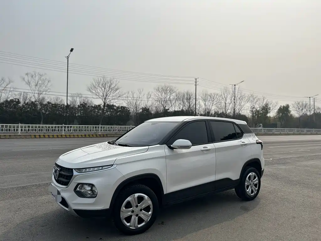 BAOJUN 510