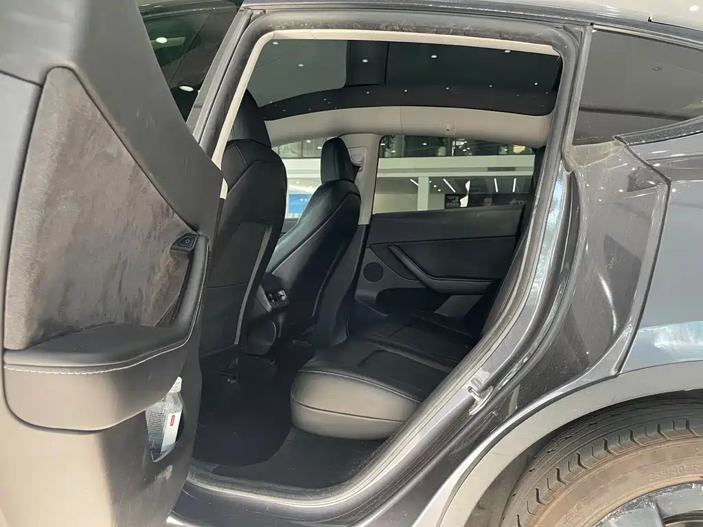 Tesla Model Y — миниатюра 10
