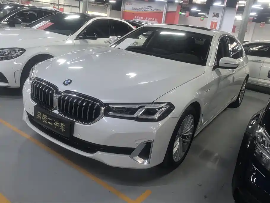 BMW 5 Series New Energy 2021