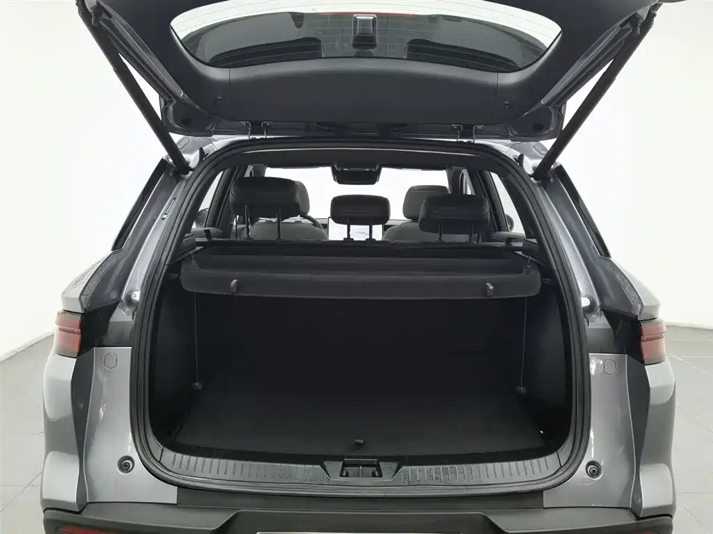 BYD SONGJIANG NEW ENERGY