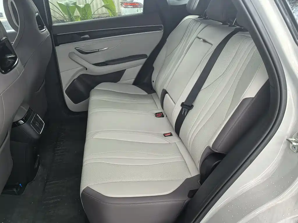 BYD SONGJIANG NEW ENERGY