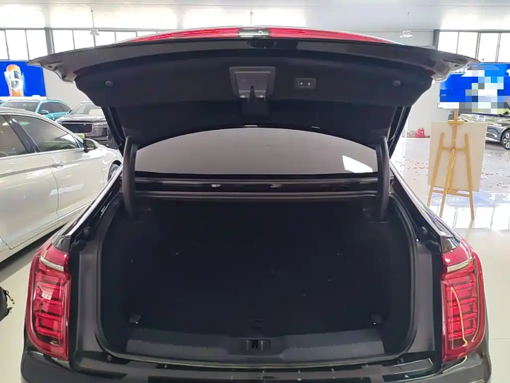 Hongqi Hongqi H9 — миниатюра 19