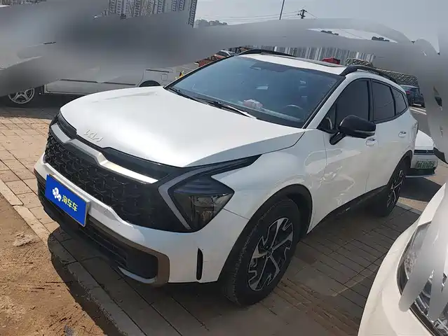 KIA LION PLATINUM EXPANDS THE WORLD