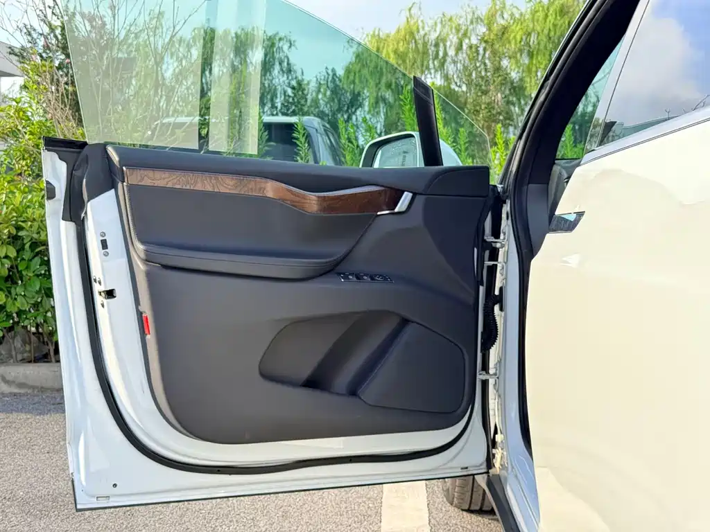 Tesla Model X — миниатюра 11