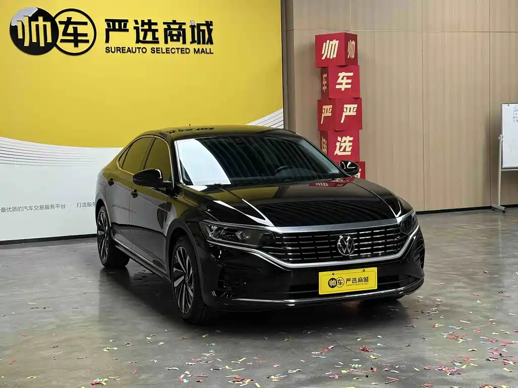 Volkswagen Passat — миниатюра 3