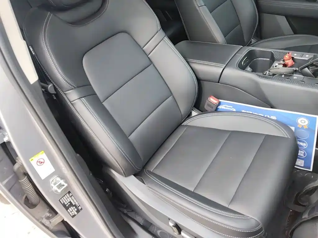 Haval Big Dog PLUS — миниатюра 25
