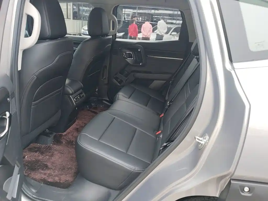 Haval Big Dog PLUS — миниатюра 17