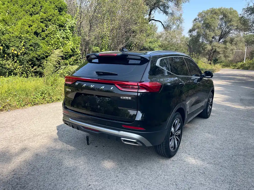 Haval H6 — миниатюра 14