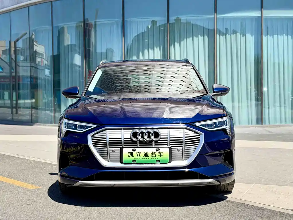 Audi e-tron 2019 55 quattro Fashion