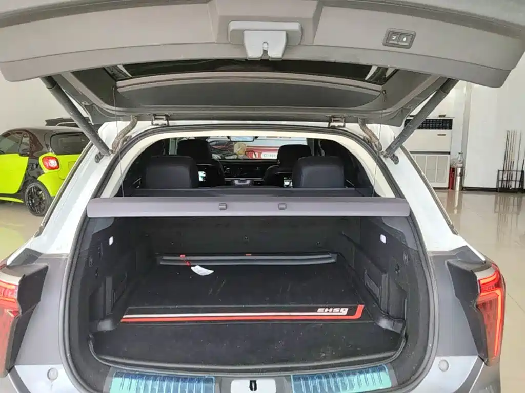 Hongqi Hongqi E-HS9 — миниатюра 19