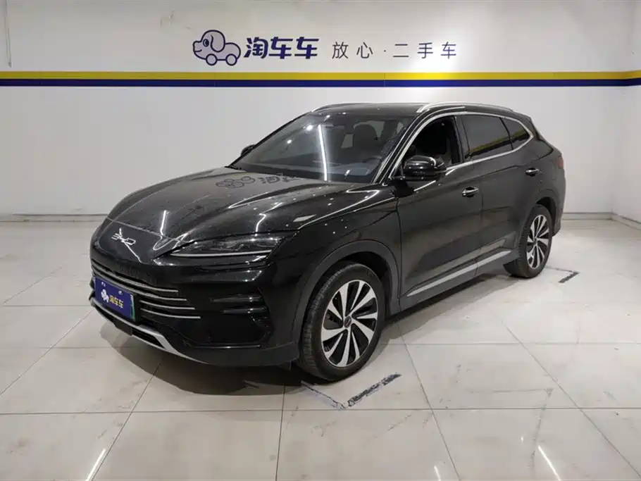 Byd PLUS New Energy 2024