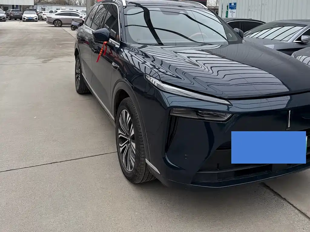 WEI PAI WEI BRAND BLUE MOUNTAIN