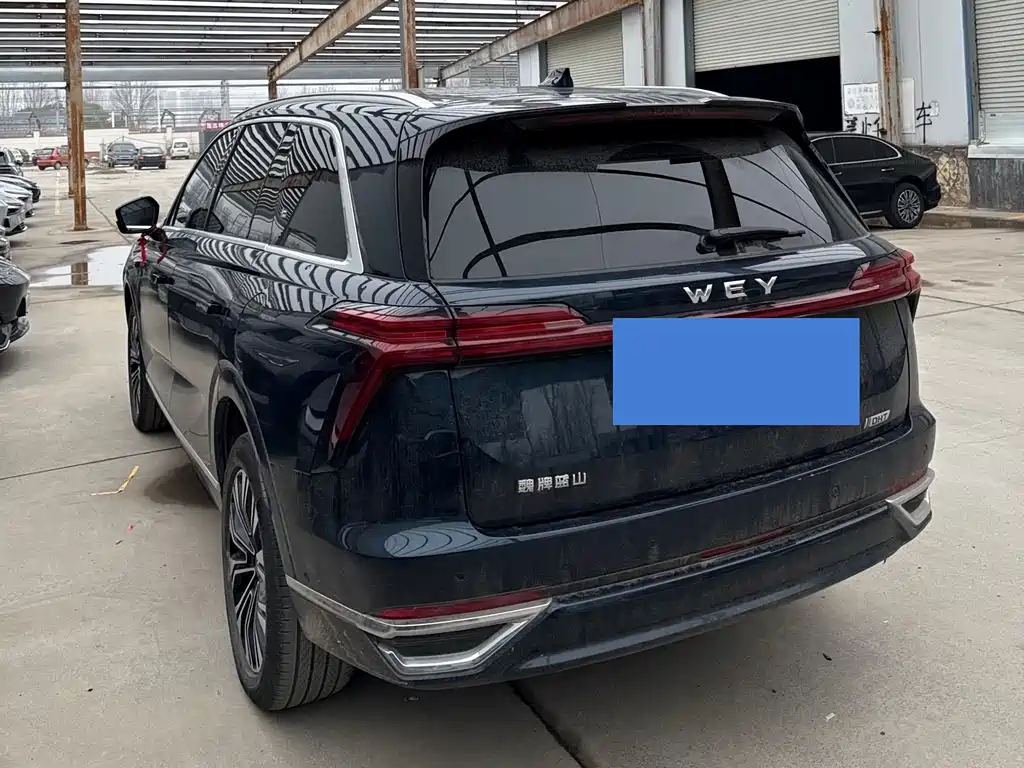 WEI PAI WEI BRAND BLUE MOUNTAIN