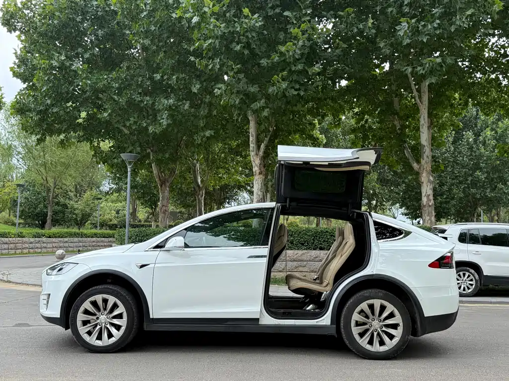 Tesla Model X — миниатюра 11