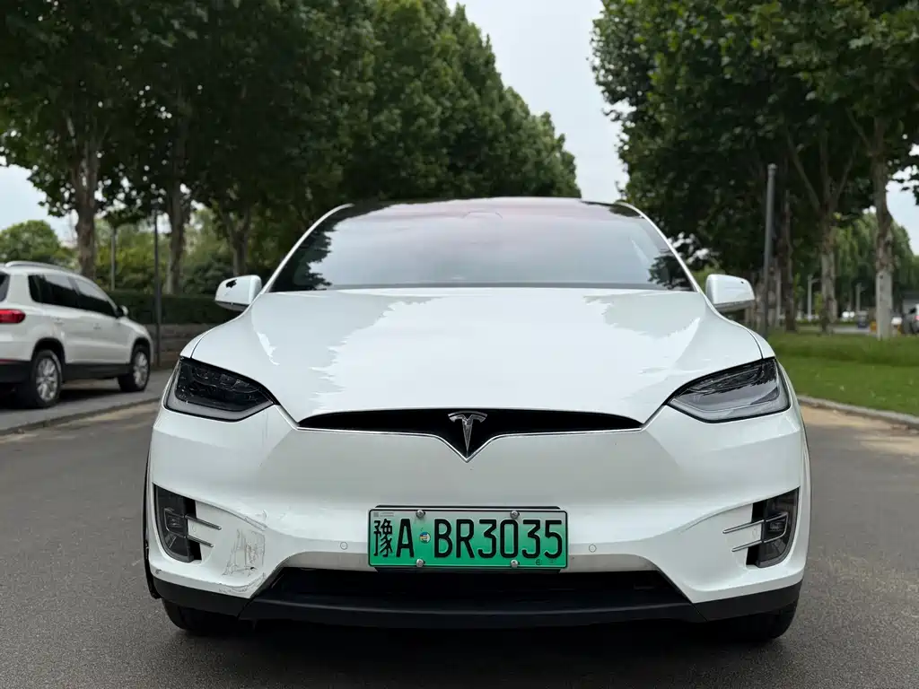 Tesla Model X — миниатюра 2